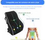 Coussin Lombaire Ergonomique Ervity