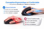 Souris Ergonomique Verticale sans fils Ervity